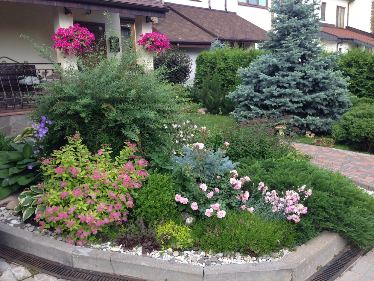 Клумба с гортензиями и хвойниками схемы