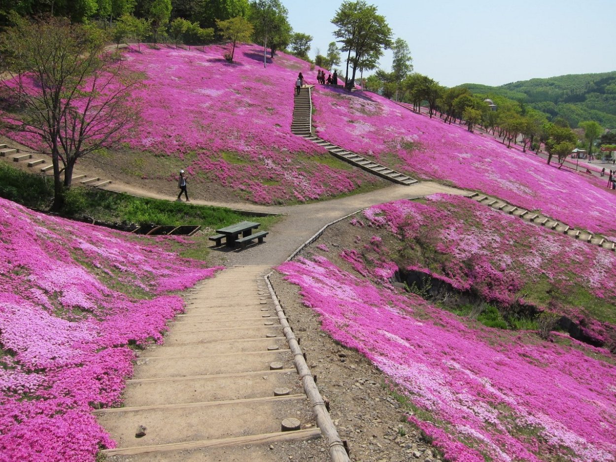 Парк Такиноуэ, Япония