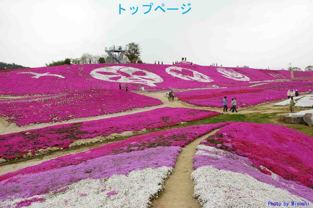 Парк Хигасимокото Шибазакура