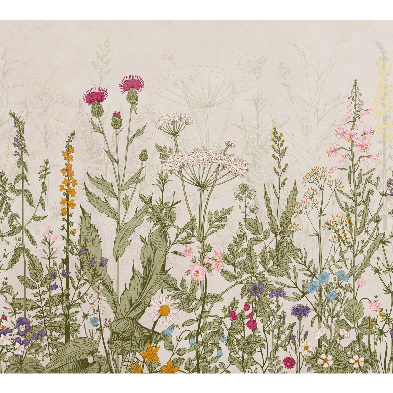 Лаванда фон