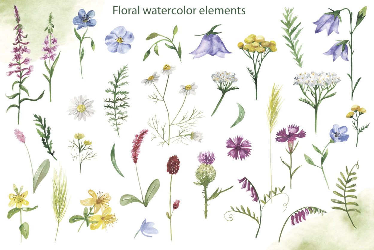 Принт полевые цветы