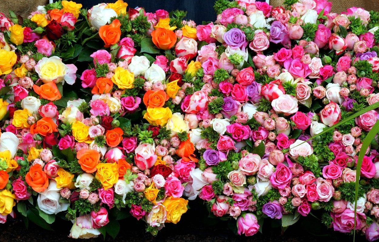 Цветочный фон с мелкими розами