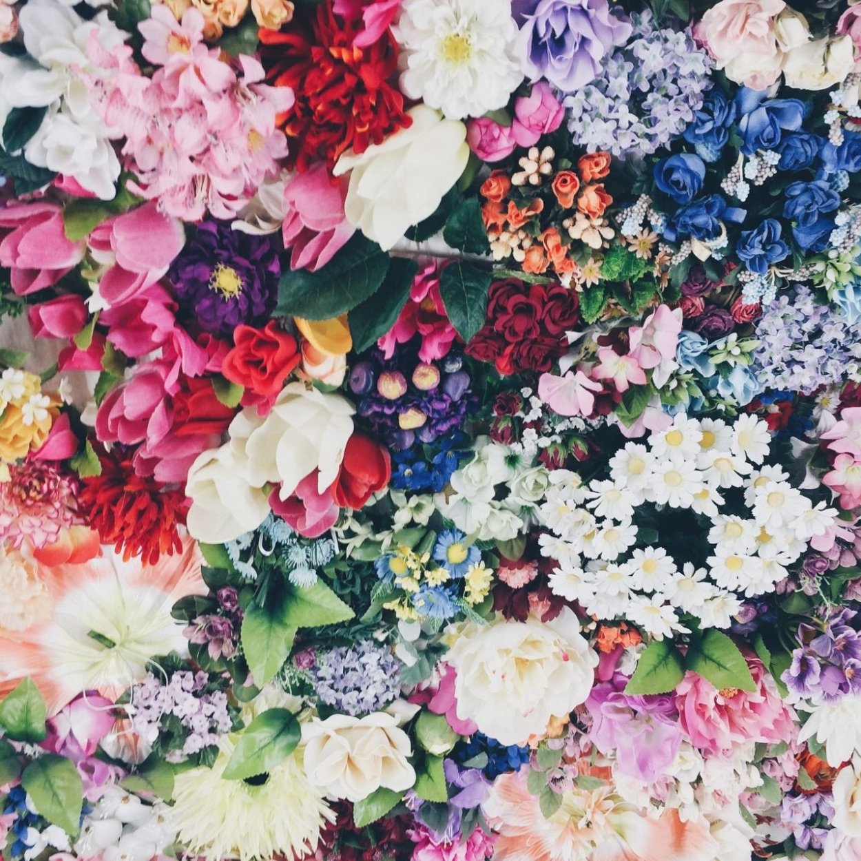 Мелкие яркие цветочки