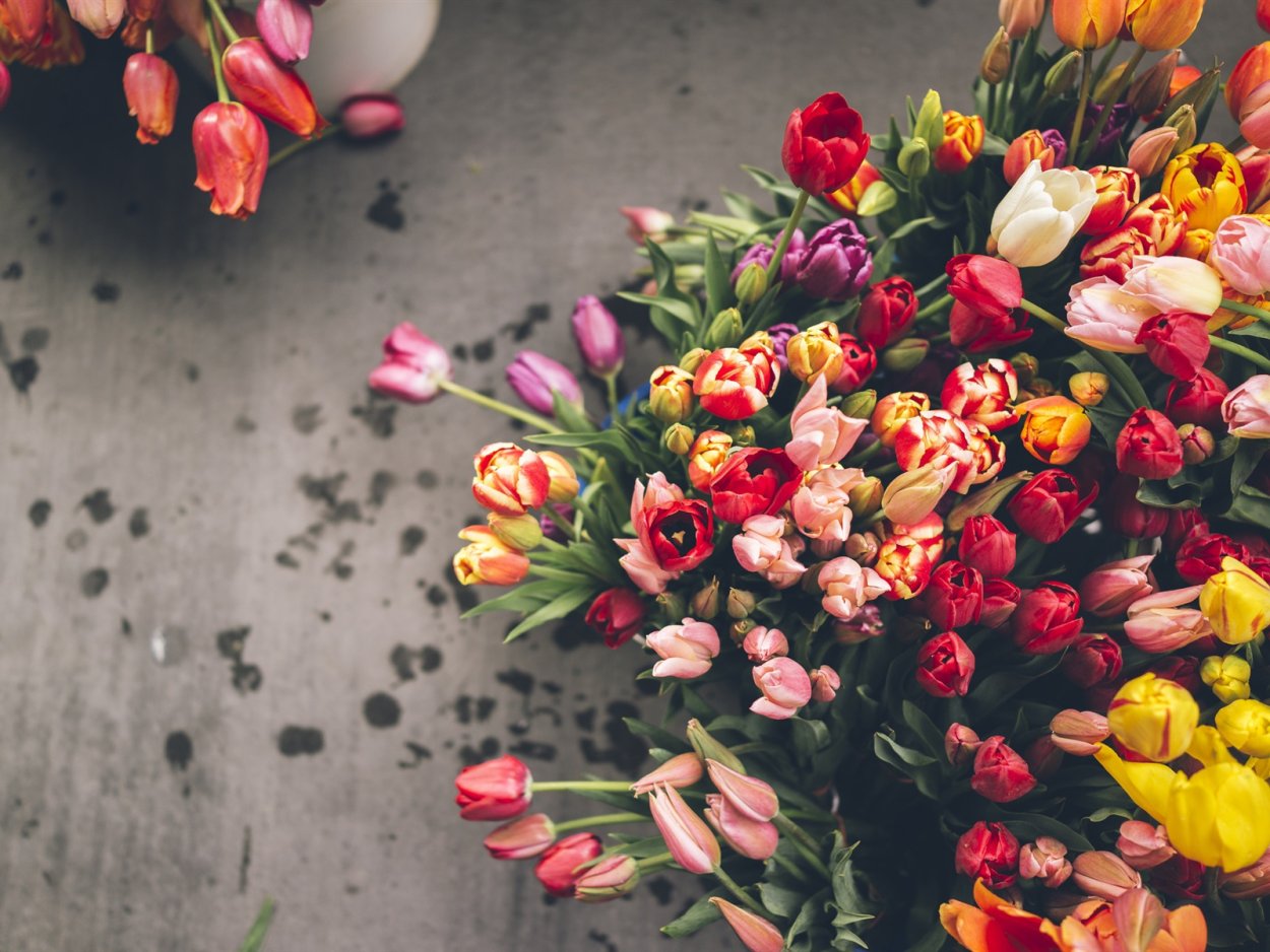 Эстетика разных цветов