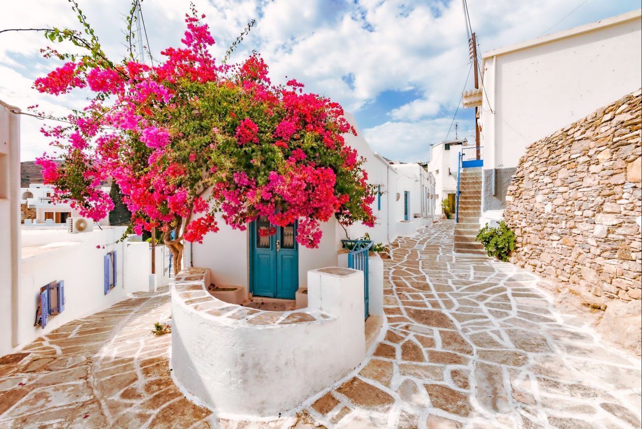 Цветы в Турции