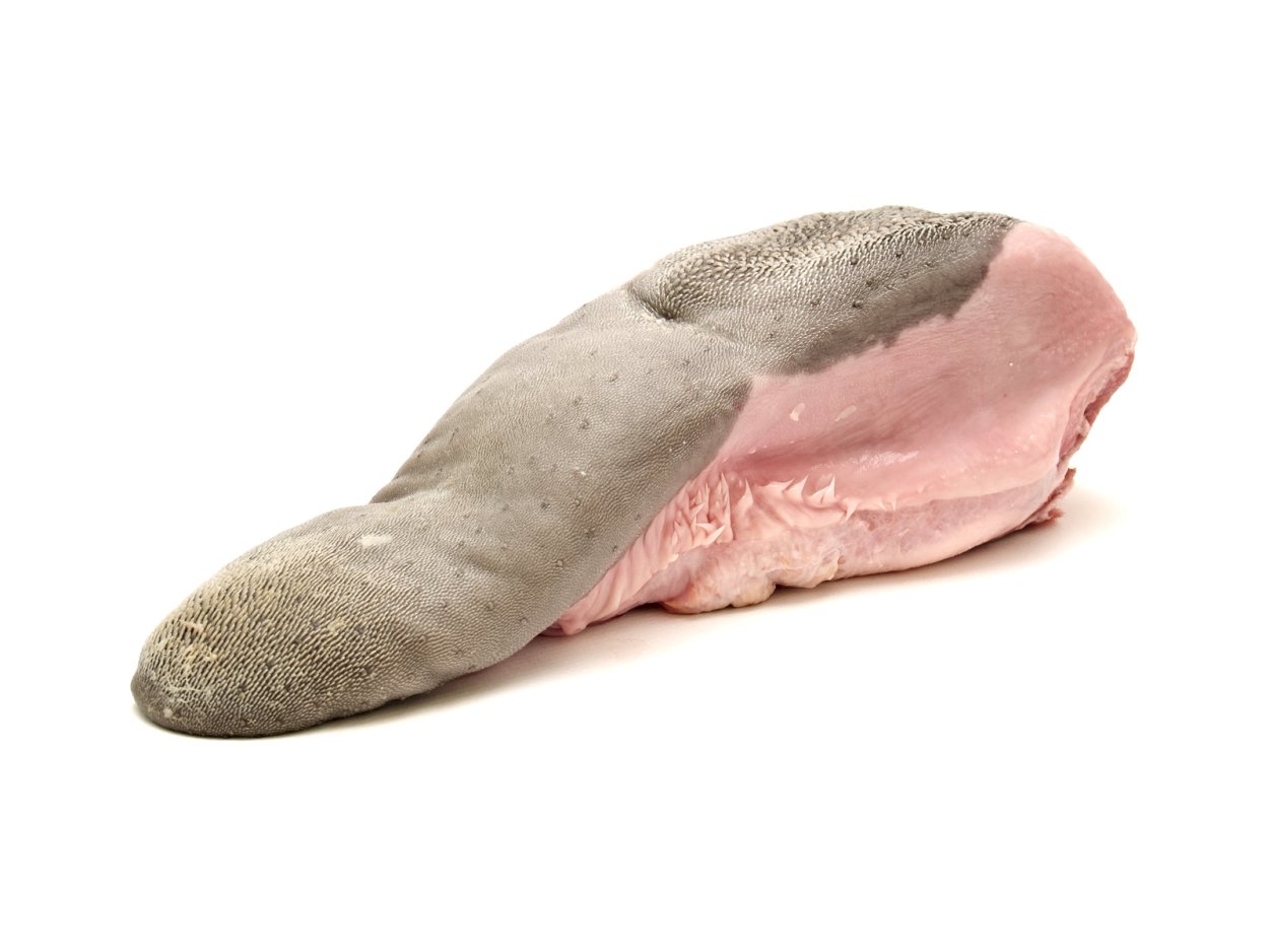 Коровий язык полностью