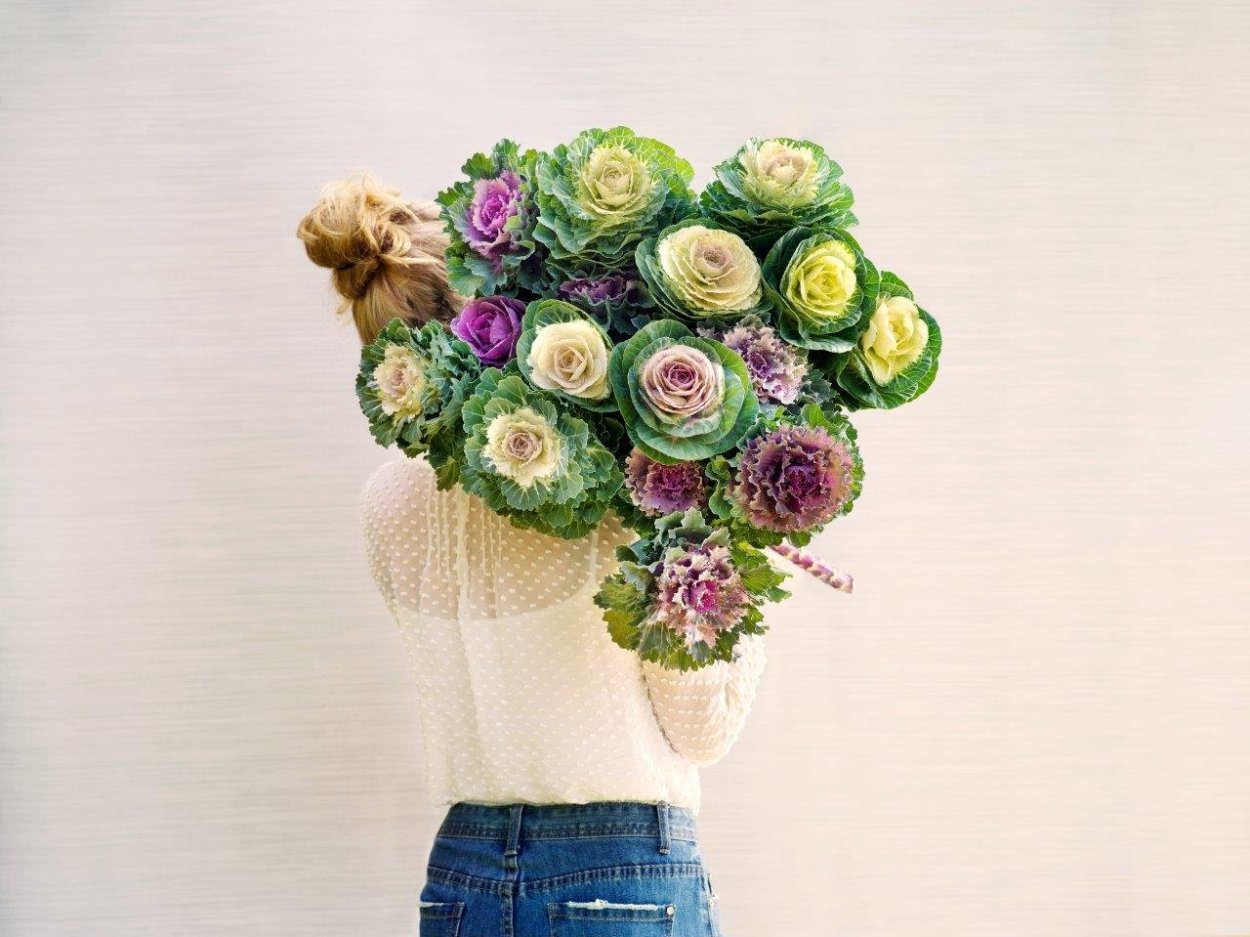 Брассика Эмпайр