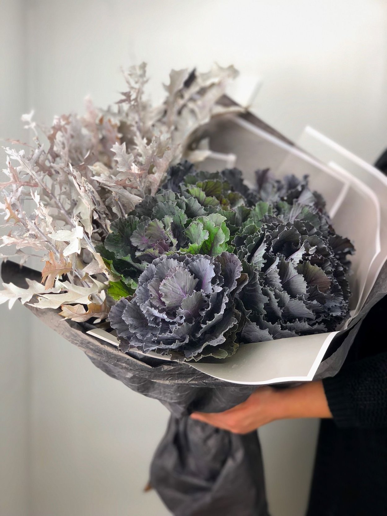 Капуста декоративная в вазоне