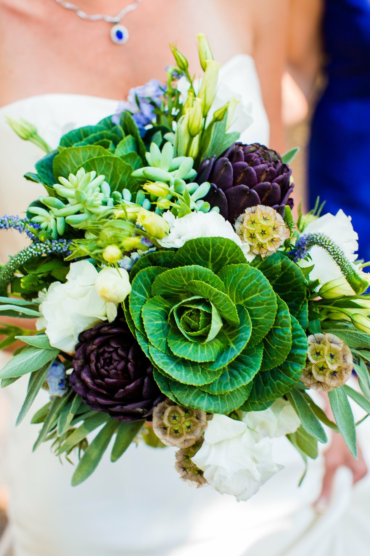 Брассика во флористике