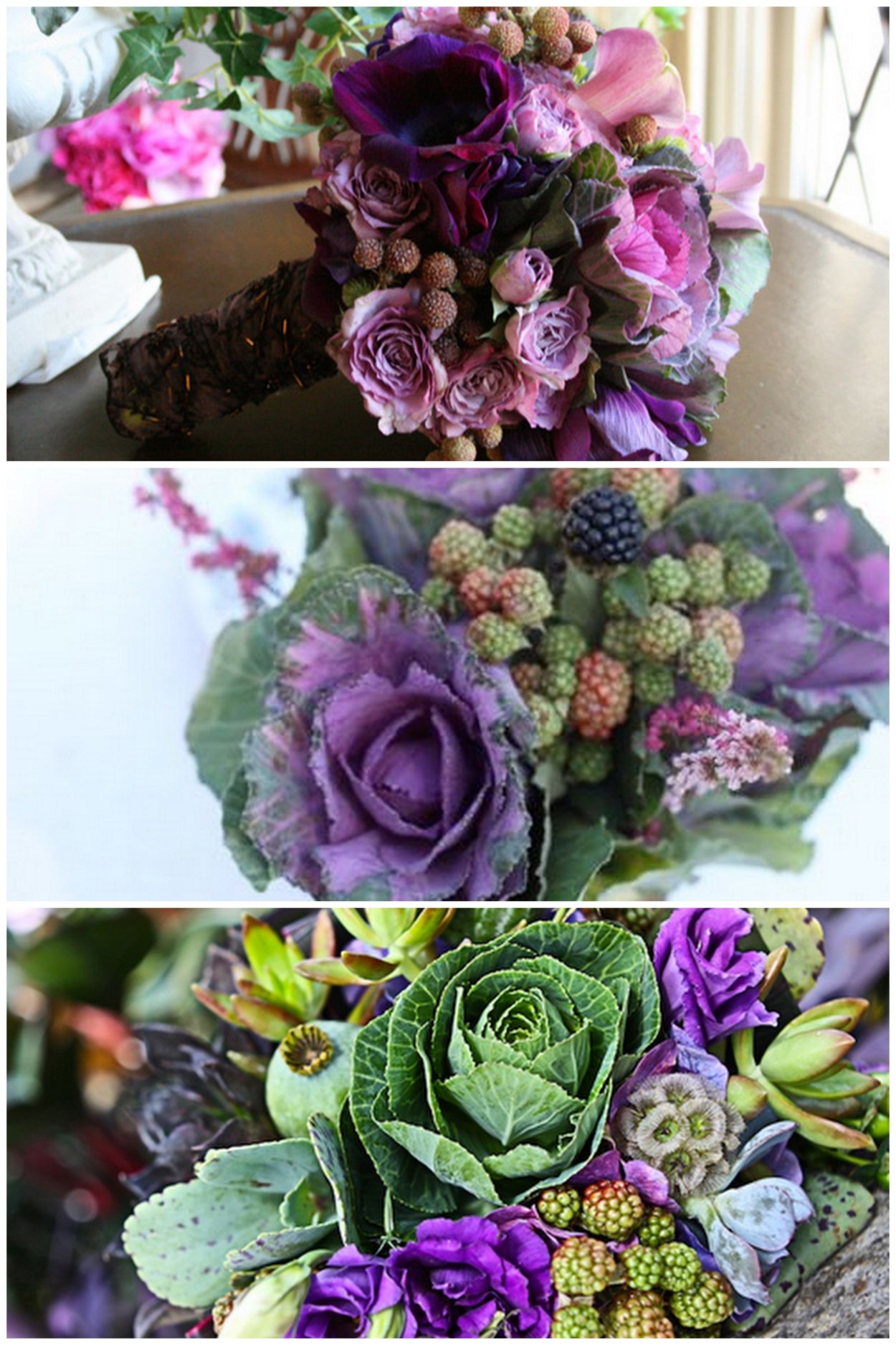 Орхидея Брассика