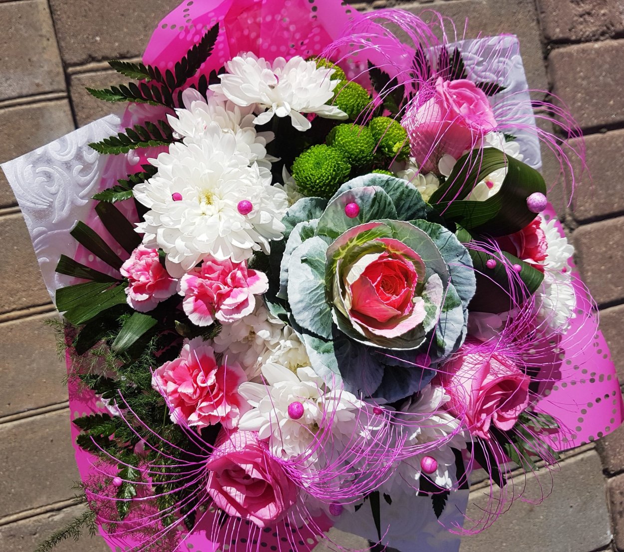 Брассика Крейн биколор