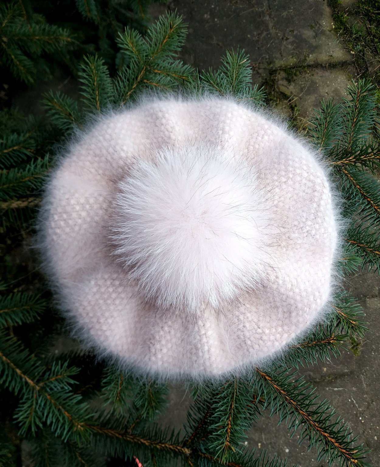 Астра Элизабет. Желтый