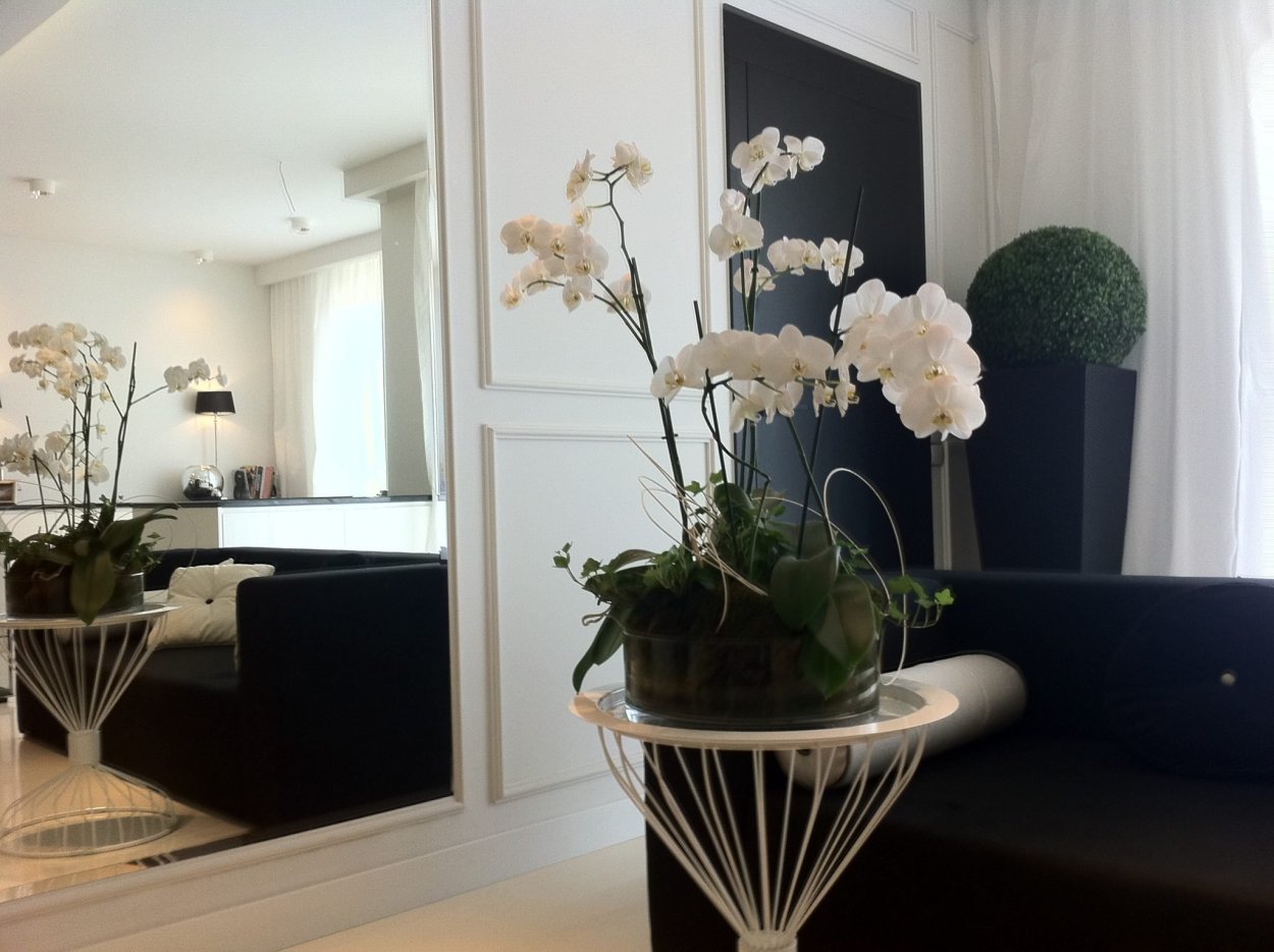 Размещение орхидей