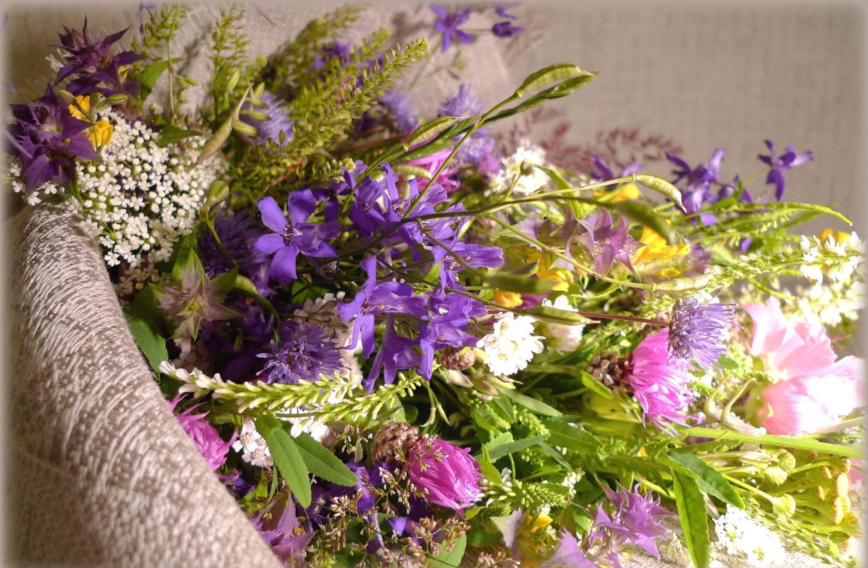 Букет Лаванда мордовник синеголовник