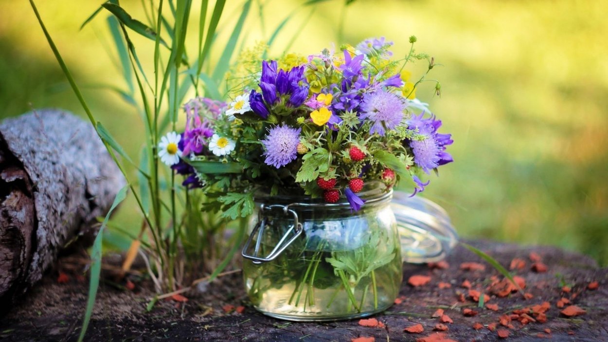 Букет полевых ромашек