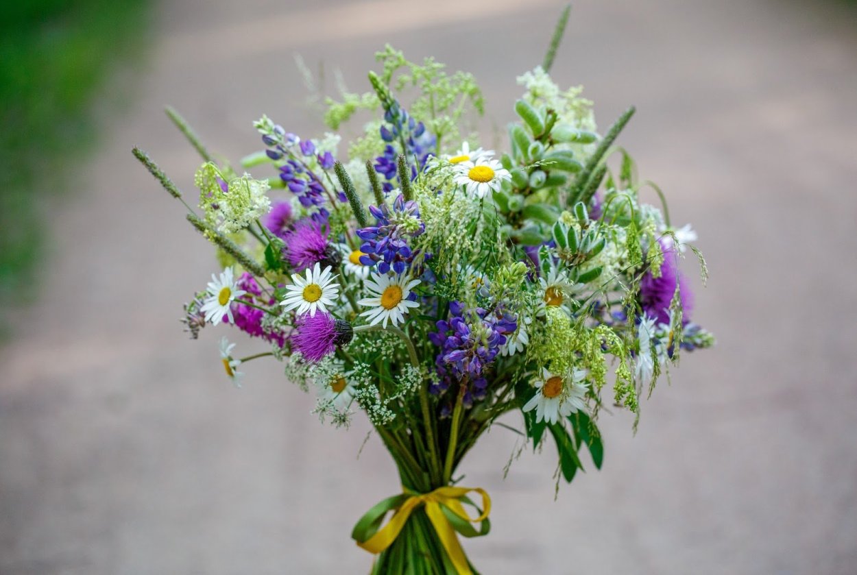 Маленький букетик полевых цветов