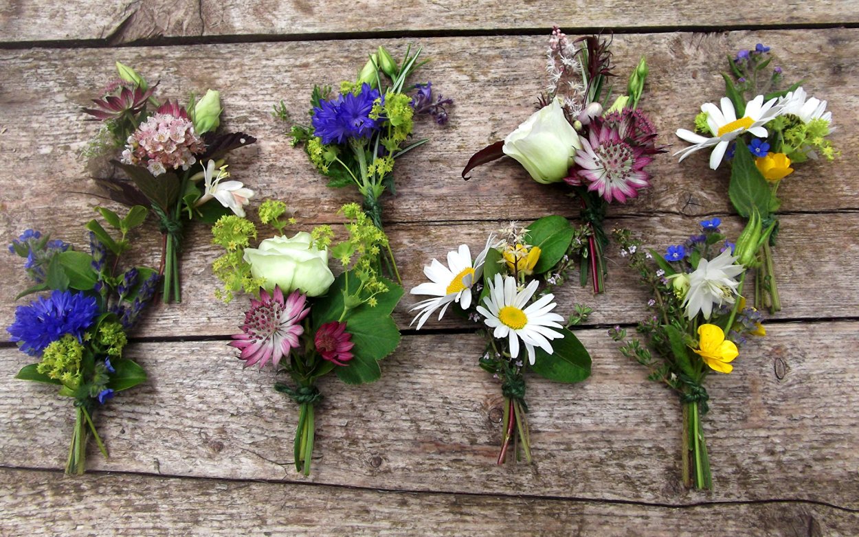 Букет полевых ромашек