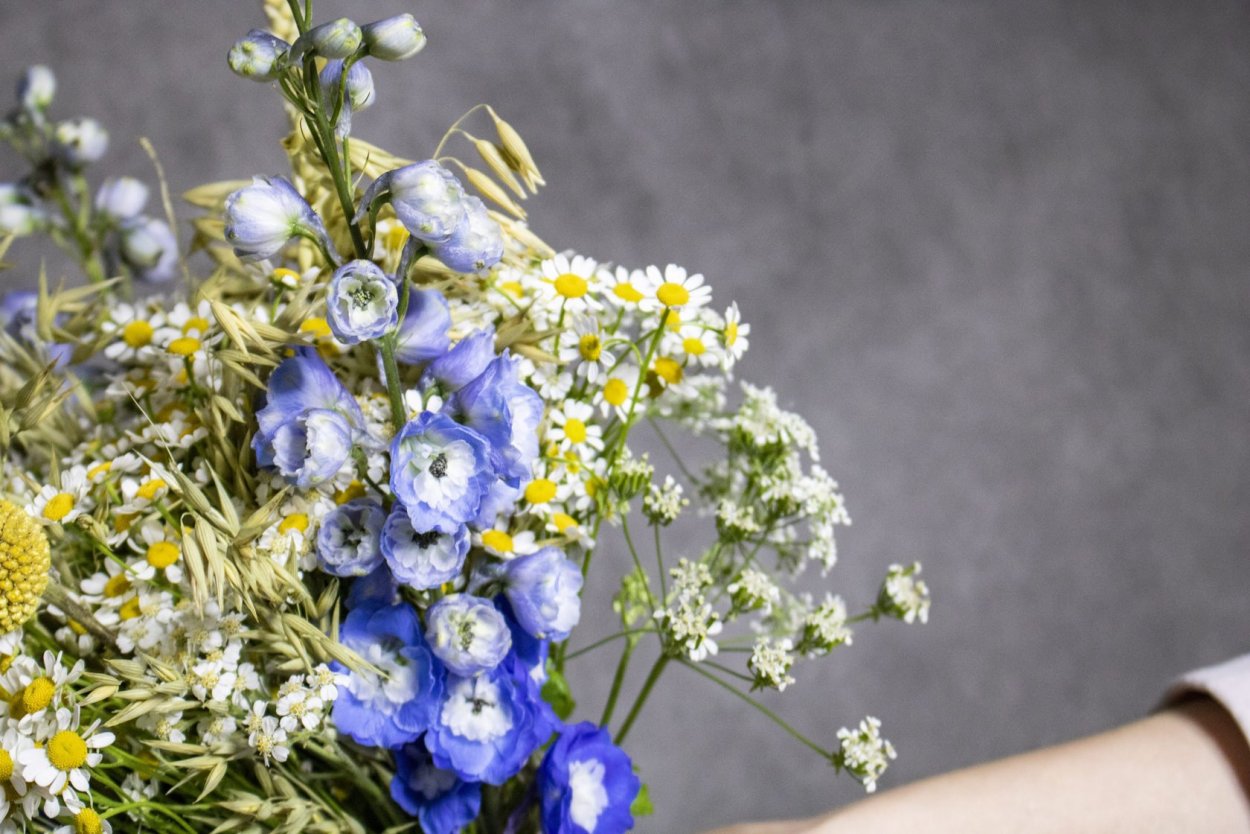 Чертополох и Клевер