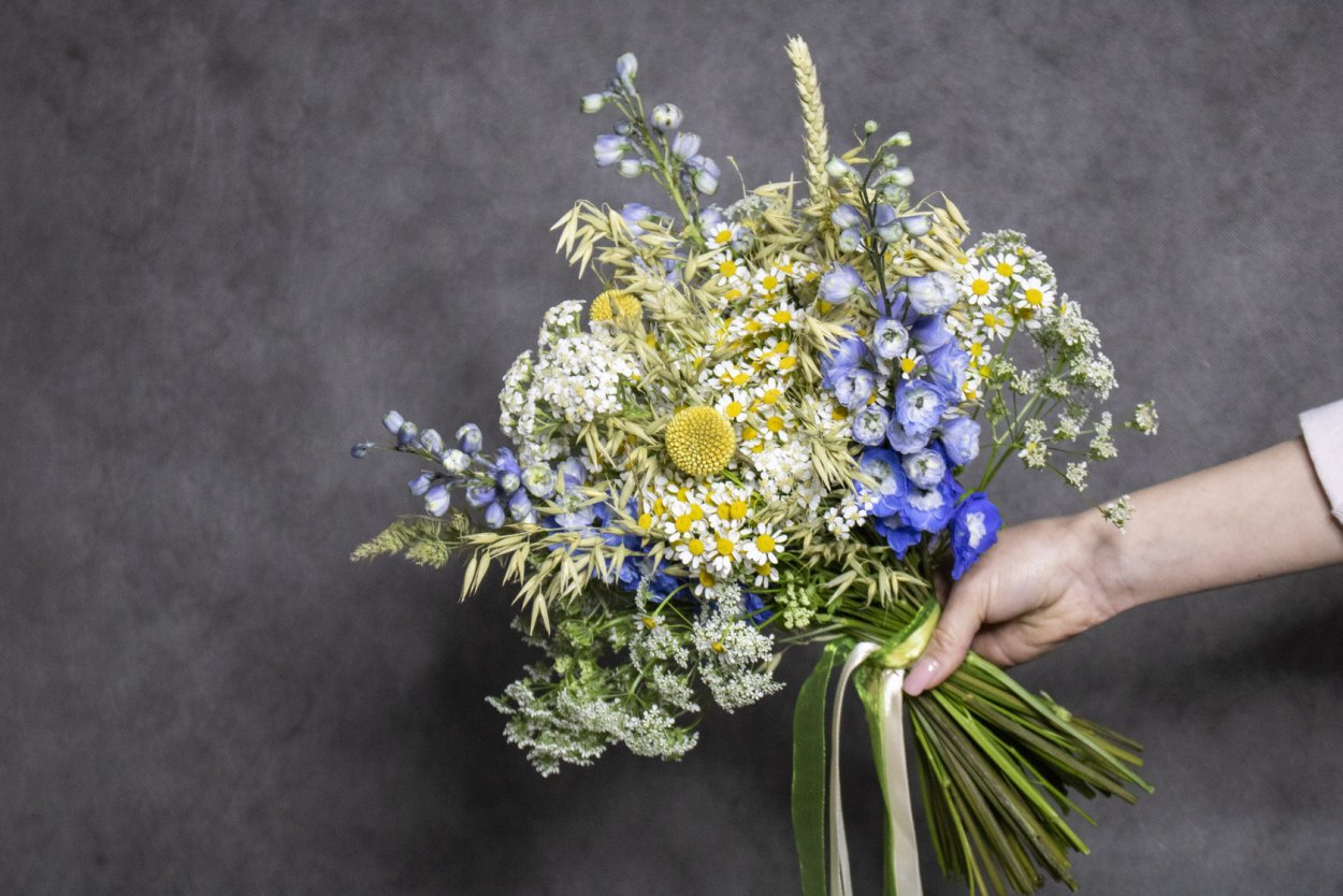 Флористика полевые цветы