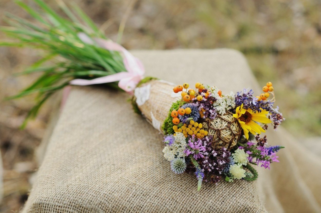 Роскошные полевые цветы