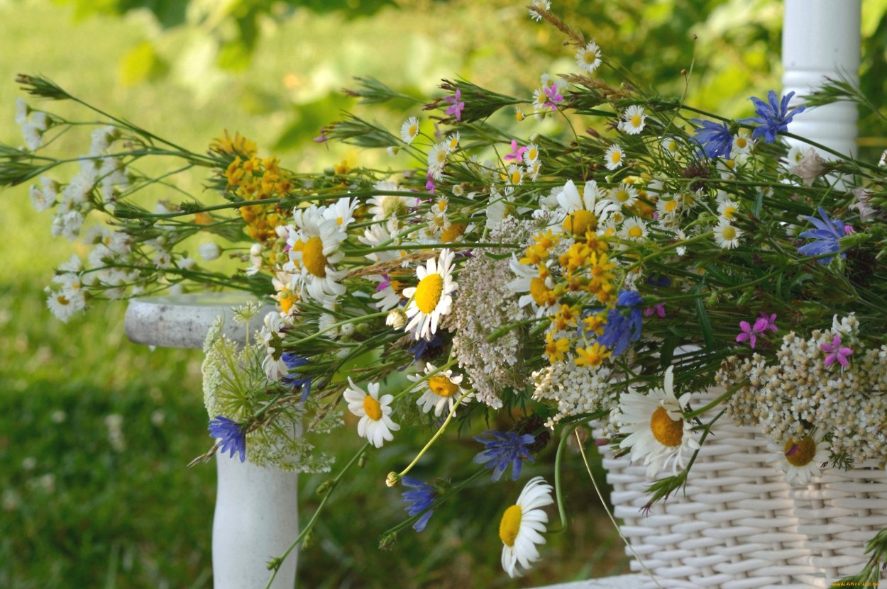 Полевые цветы в корзинке