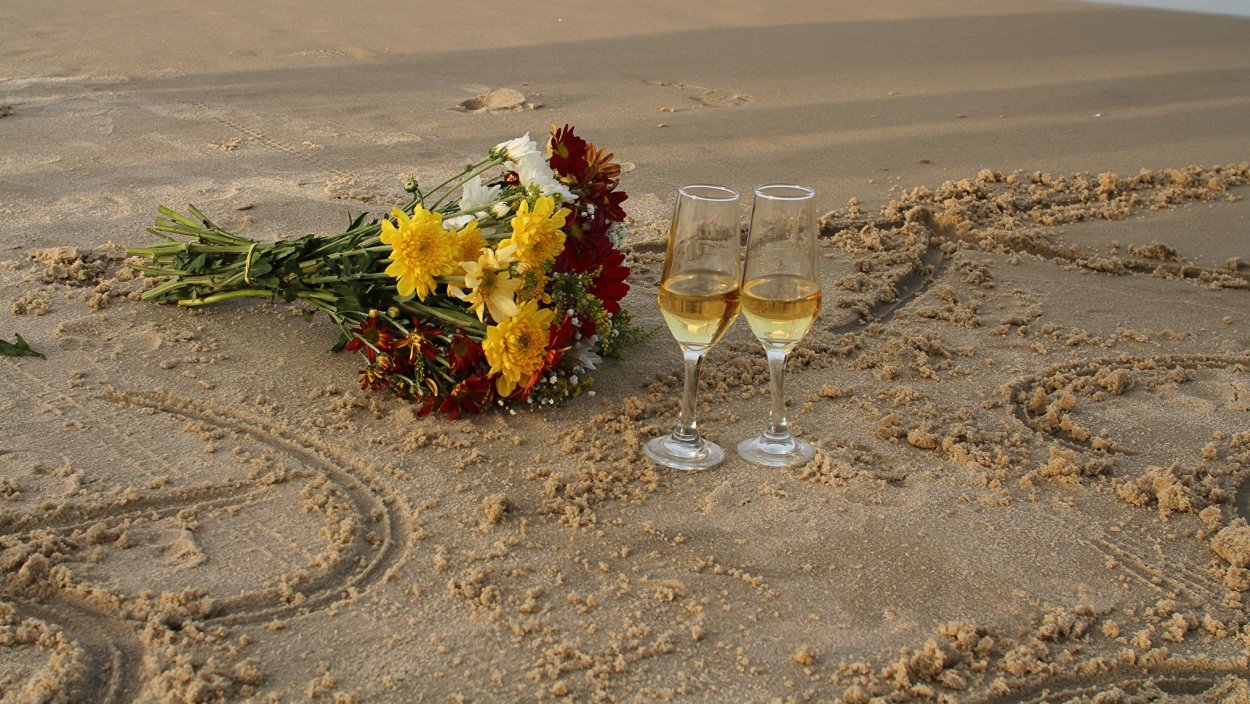 Розы на берегу моря