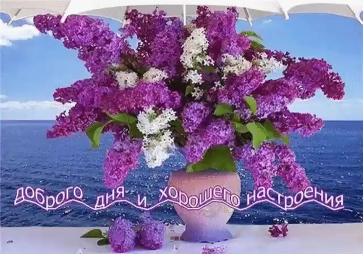 Букет шикарный