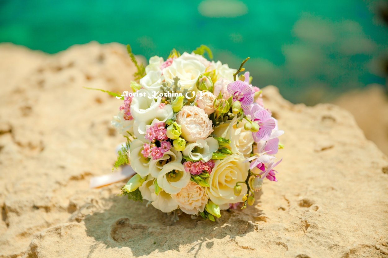 Розы на берегу моря