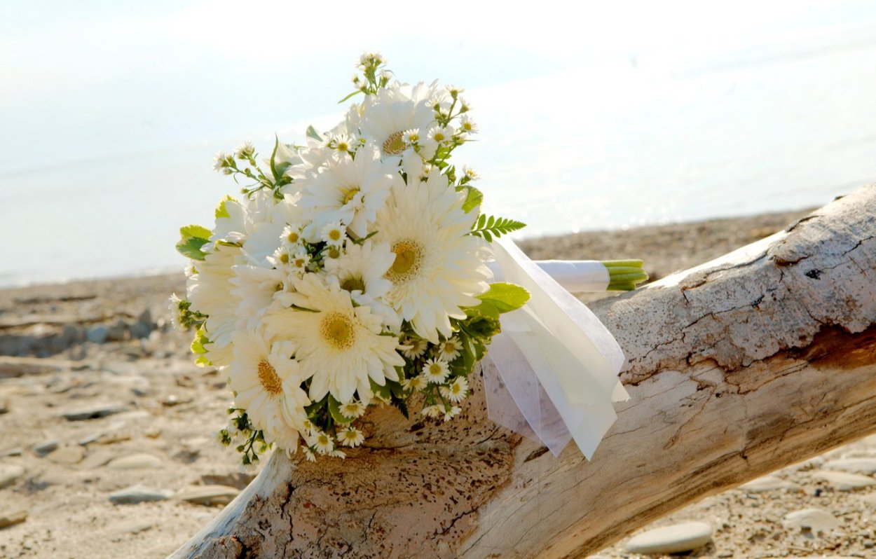 Букет из ромашек