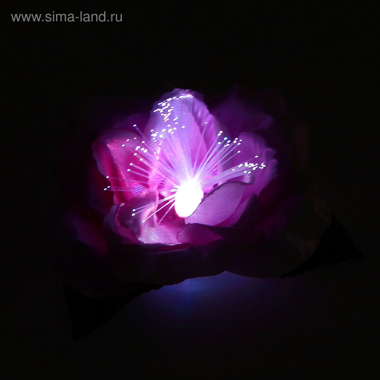 Светящиеся цветы в темноте
