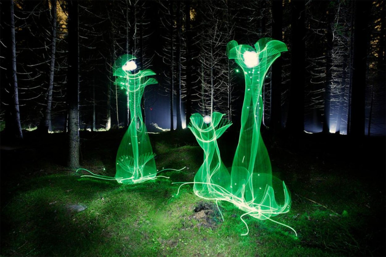 Светящийся цветок