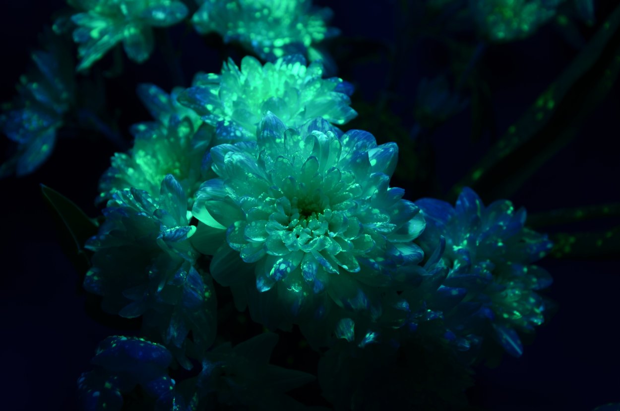 Светящийся голубой