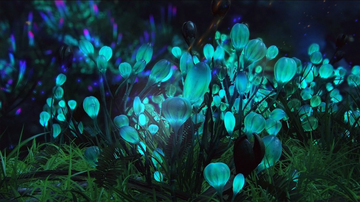 Люминофор с растениями