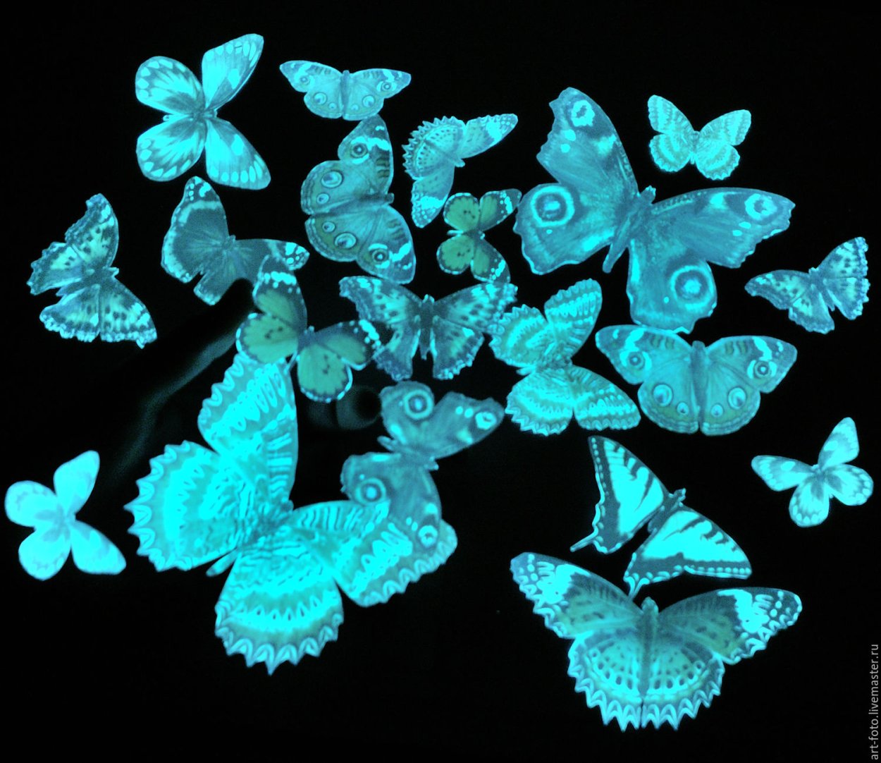 Светящиеся бабочки в темноте