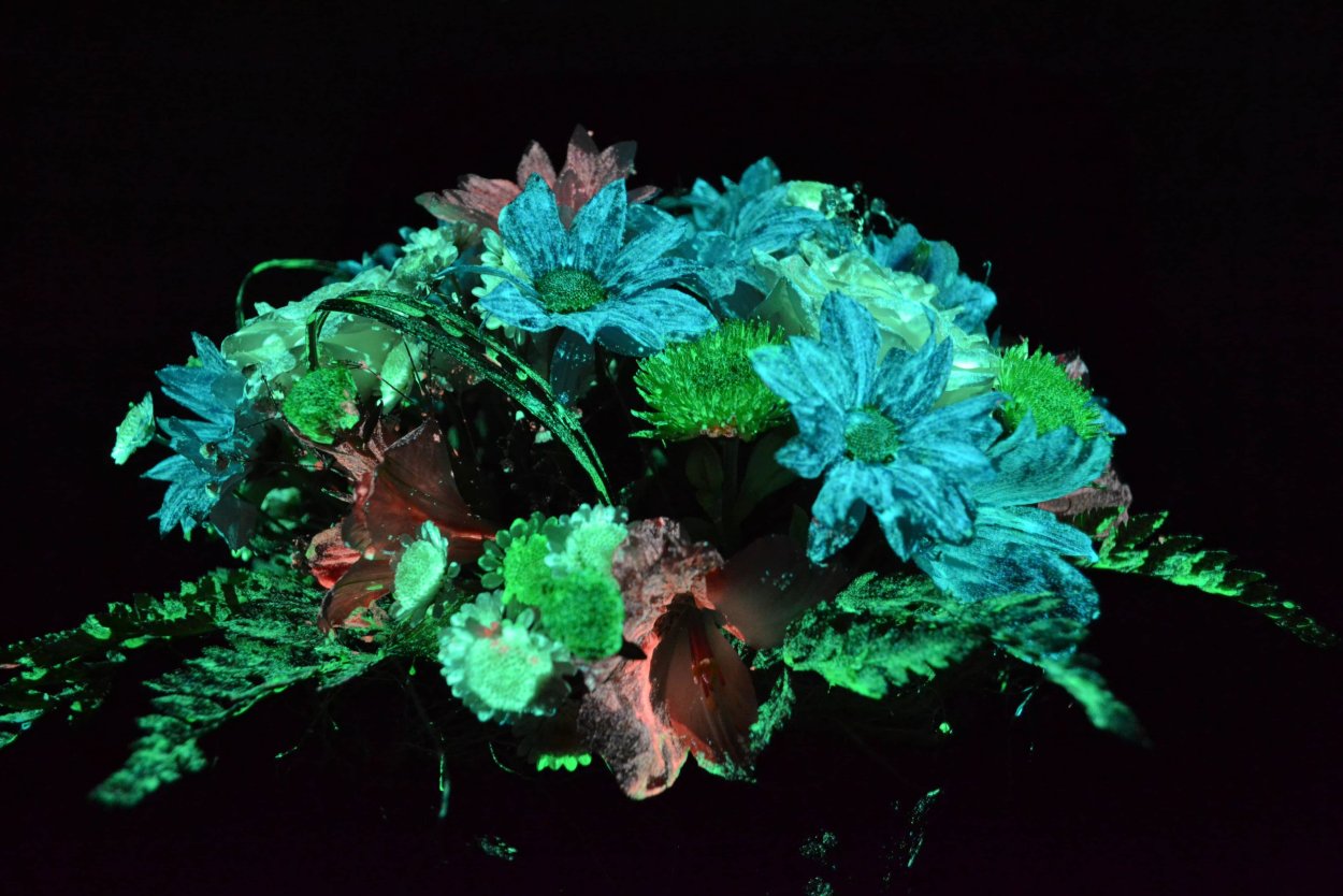 Светящиеся мотыльки