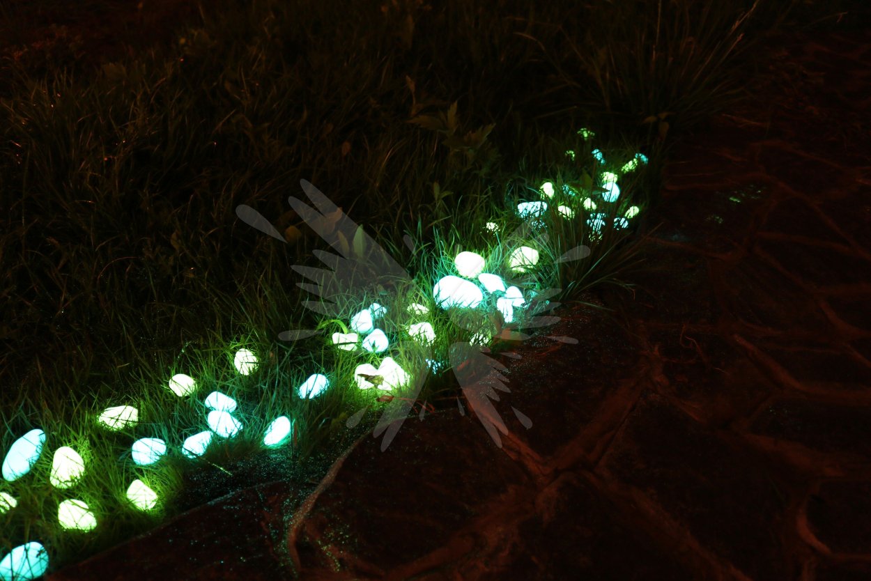 Созданы живые растения, устойчиво светящиеся в темноте.