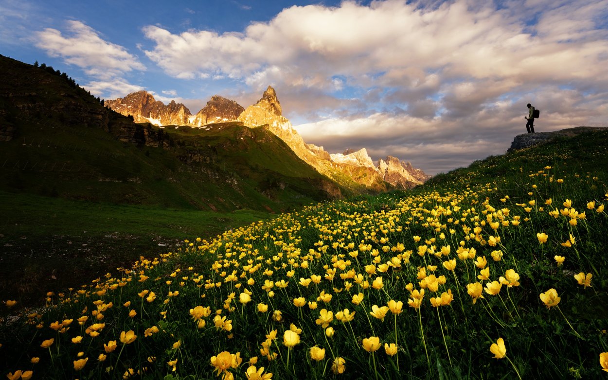Альпийские Луга Испании