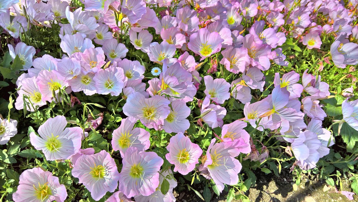 Луна в живописи