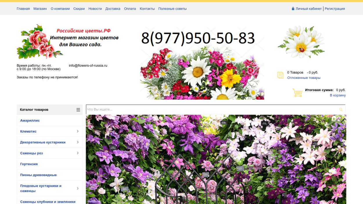 Букет цветов без лица