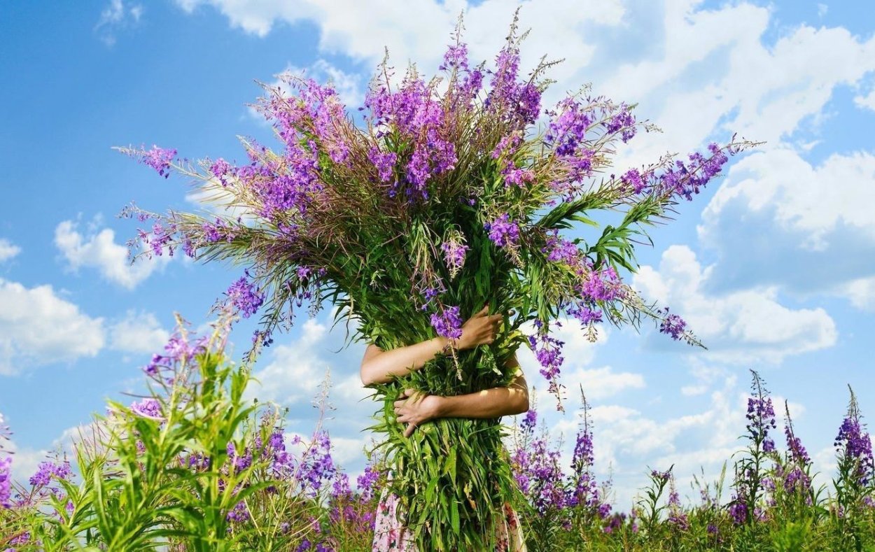 Обои на рабочий стол цветы