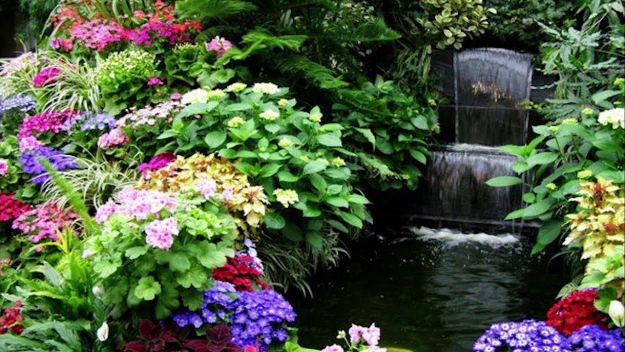 Необычные клумбы для цветов