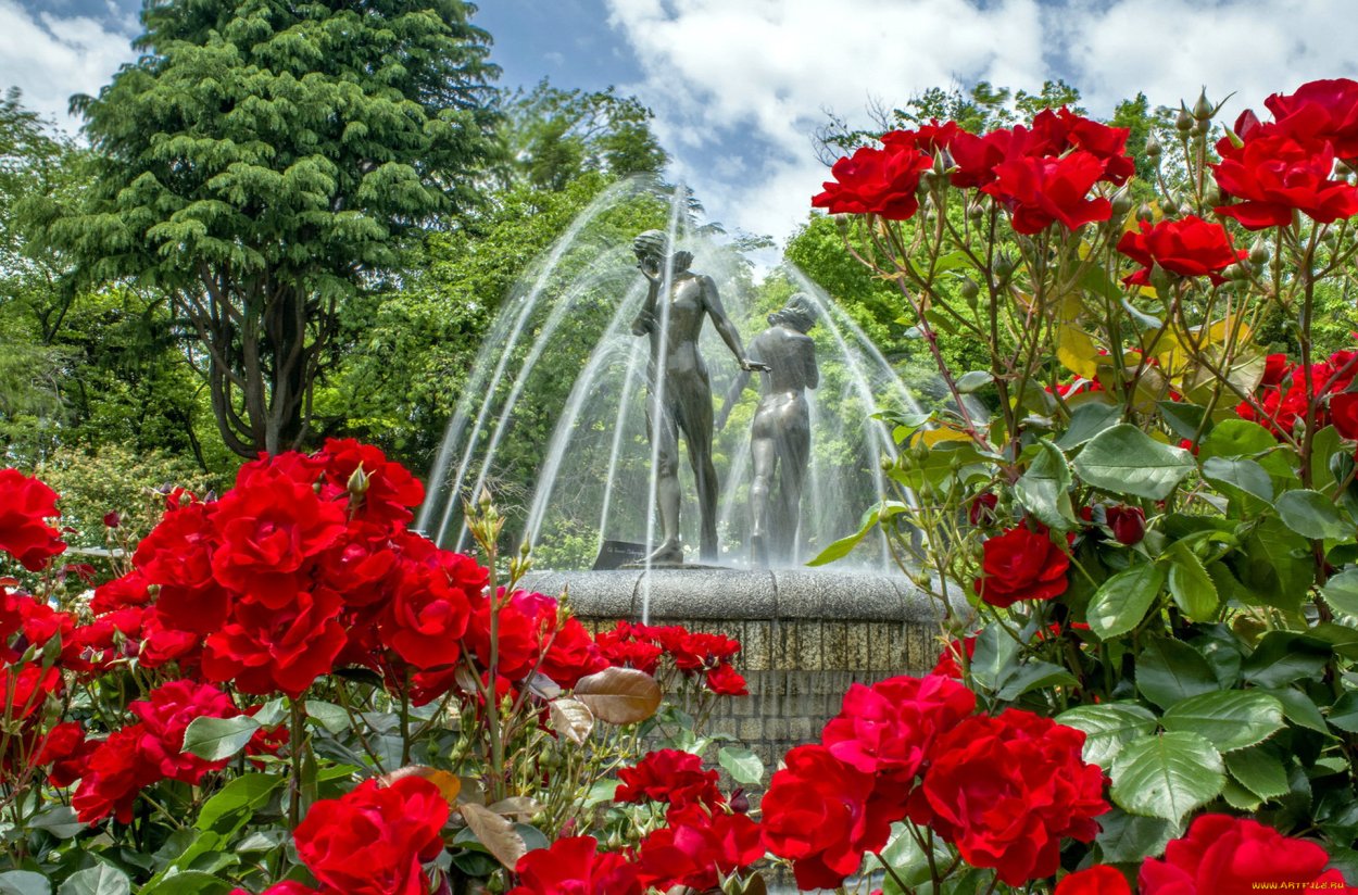 Природа водопад цветы