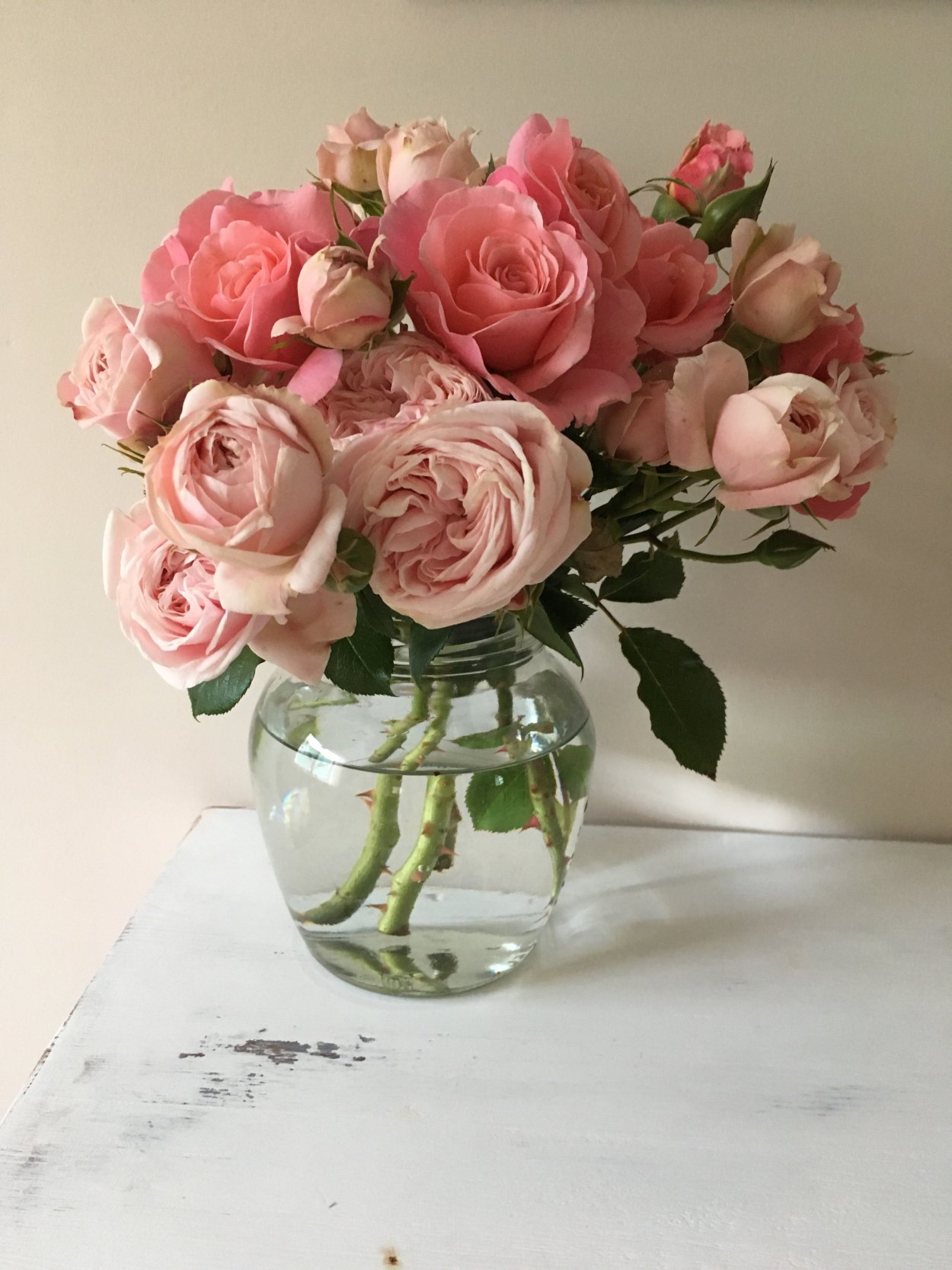 Нежная Эстетика