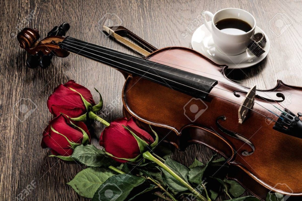 Скрипка и розы