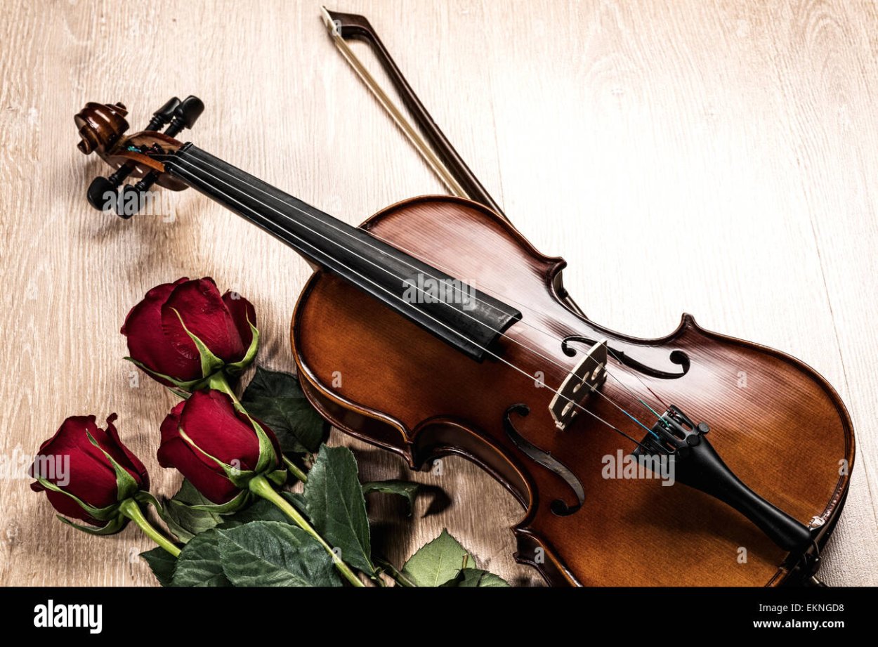 Скрипка и розы