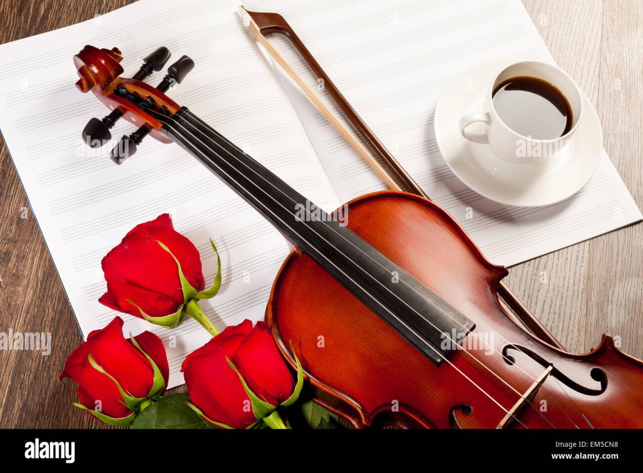 Скрипач романтика цветы