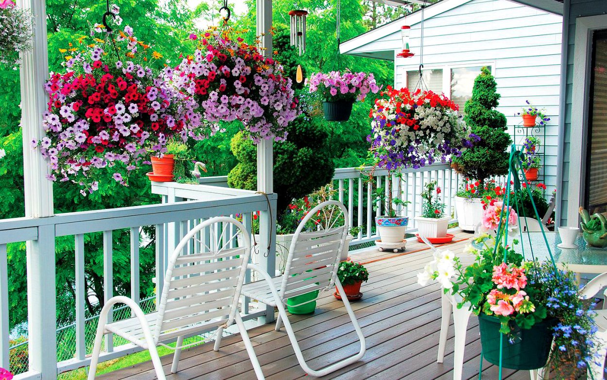 Украшение террасы цветами