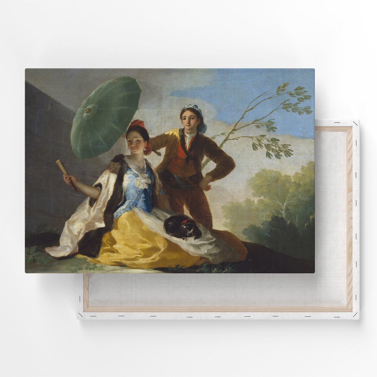 Орхидея Phalaenopsis Kellion