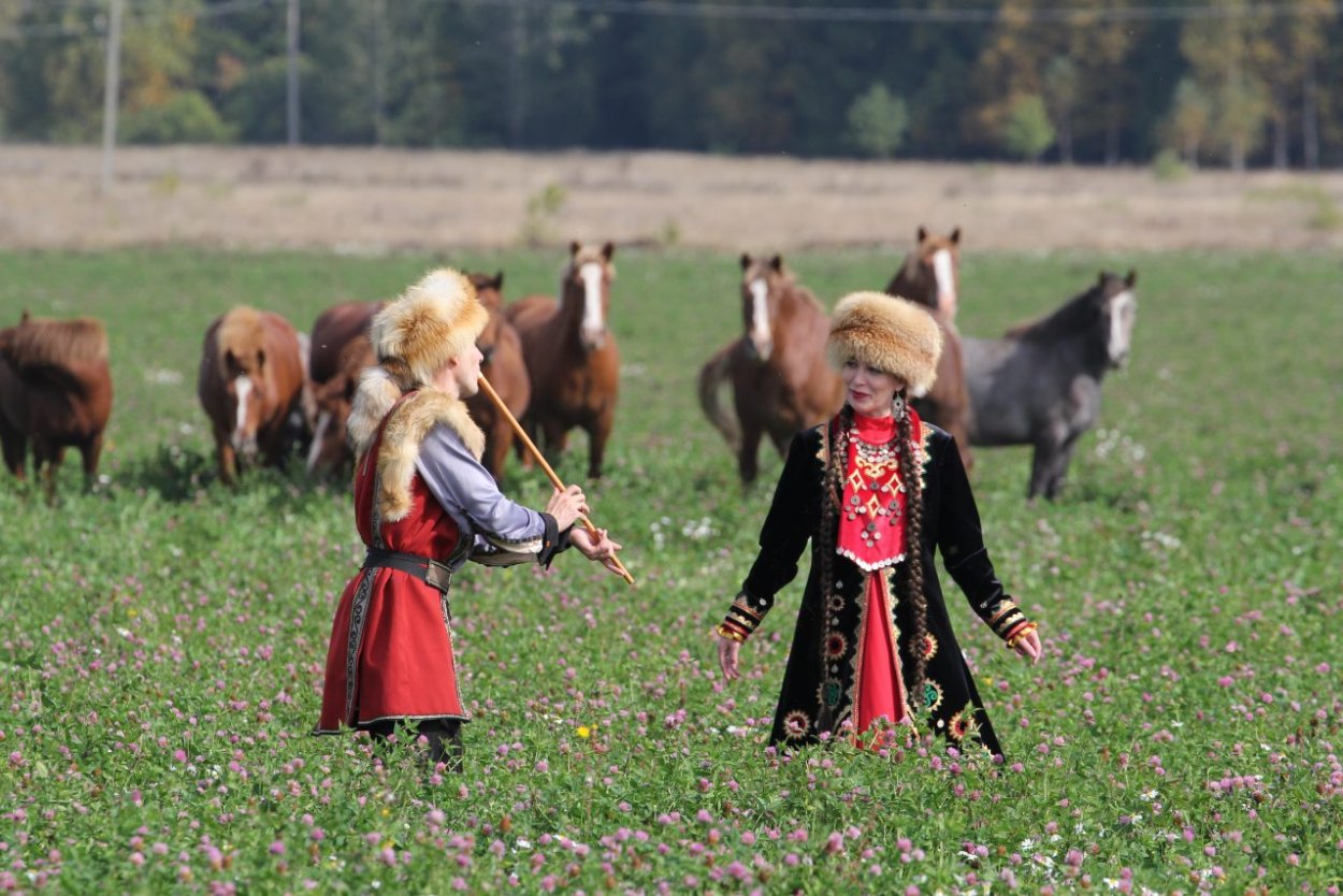 Борщевик Сосновского соцветие