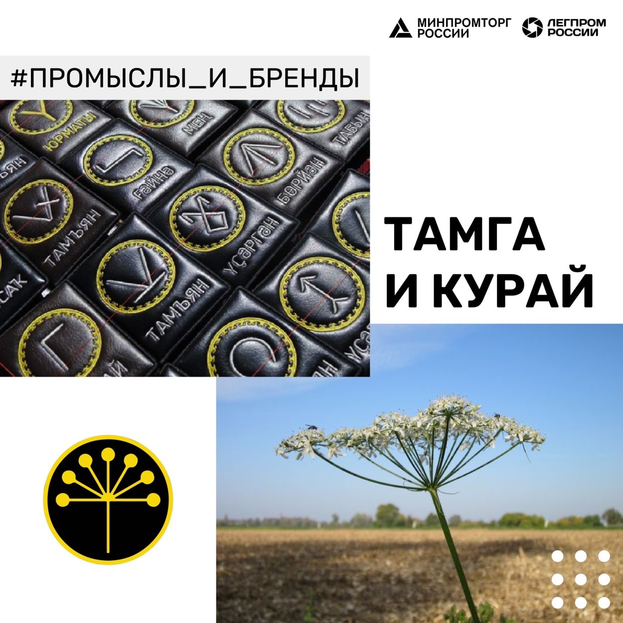 Дудник Лесной дягиль